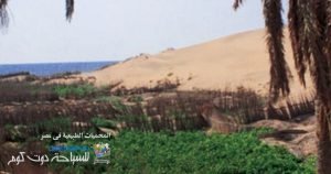 محمية الأحراش الساحلية بمحافظة سيناء