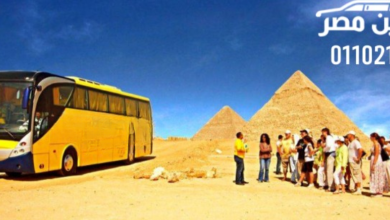 ايجار اتوبيس في مدينه نصر-Penyewaan bus di Mesir