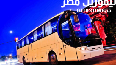 Bus Rental in Egypt01102106655- Penyewaan bus