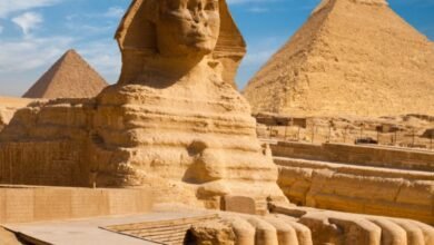 The importance of tourism for the pyramids