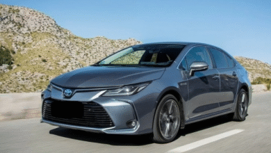 Photo of استمتع بأفضل خدمة ليموزين مكيف للنقل السياحي داخل مصر، بأسعار لا تُنافس!